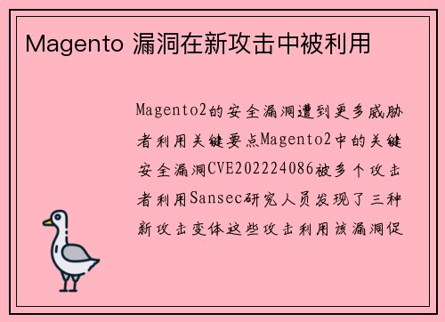 Magento 漏洞在新攻击中被利用 