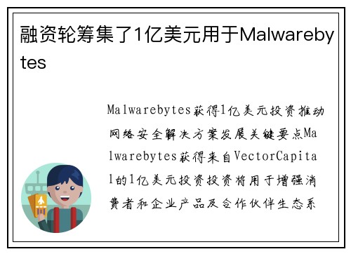 融资轮筹集了1亿美元用于Malwarebytes 
